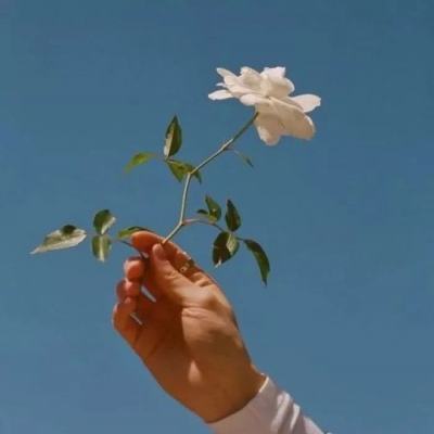 剑三觅宝阁app下载