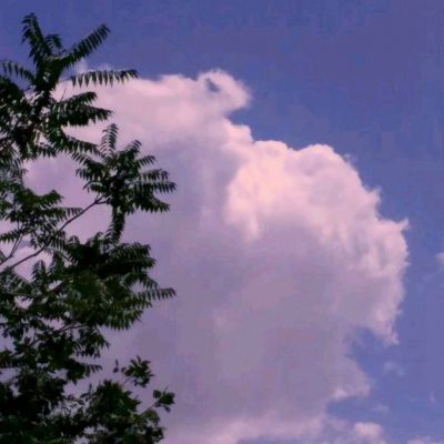 九游遇见逆水寒最新版下载